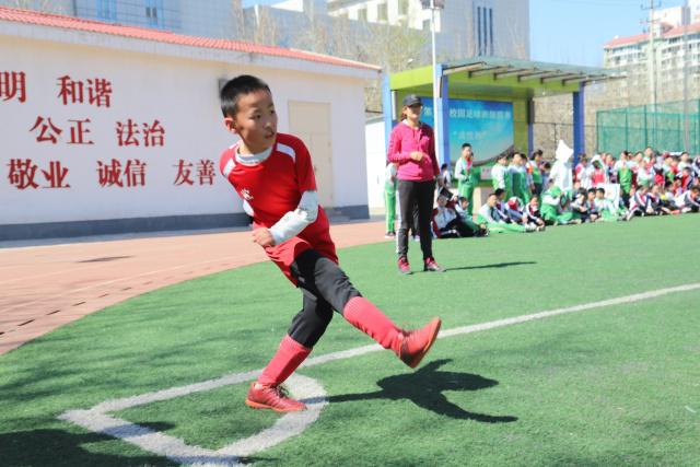 精选双色球专家:史晓峰、宋云聪同中头奖各揽1142万